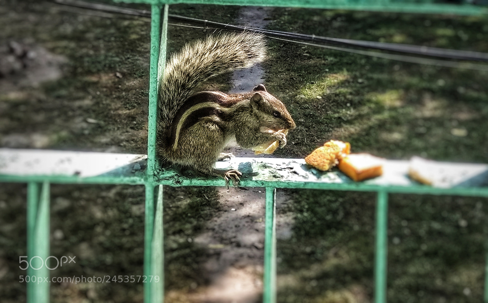 Xiaomi Redmi Note 4 sample photo. Untitled photography