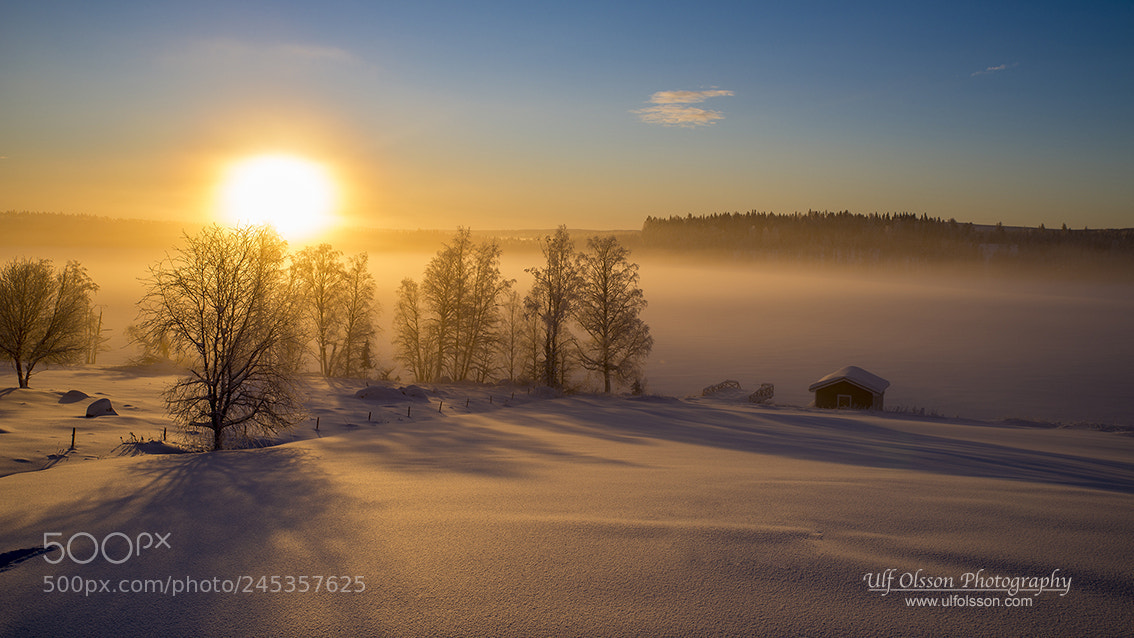 Nikon D610 sample photo. Winter view photography