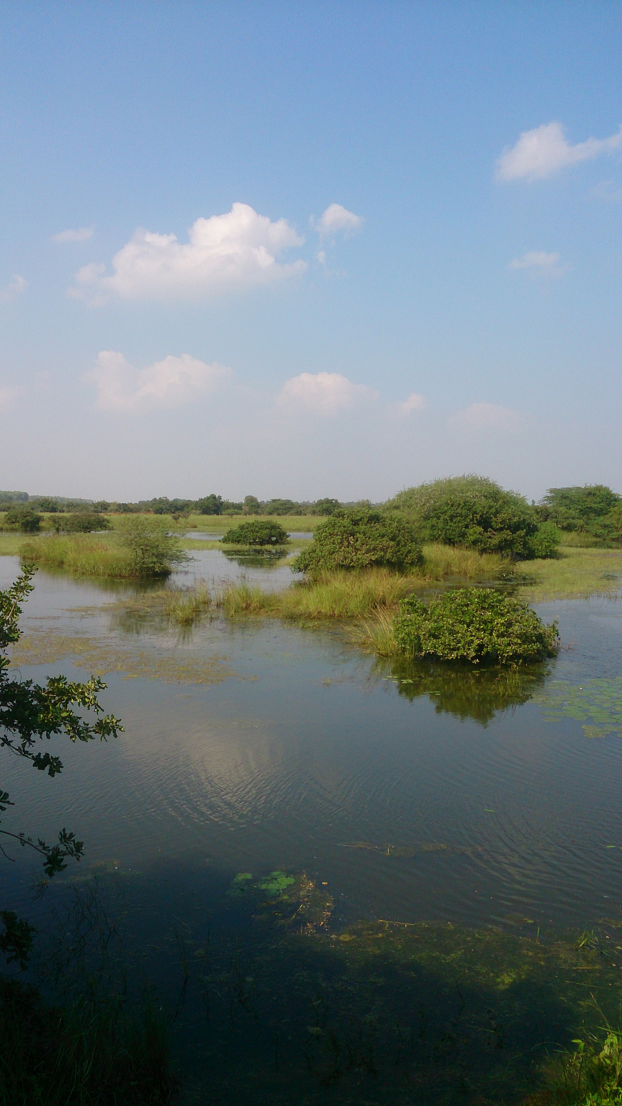 Sony Xperia Z sample photo