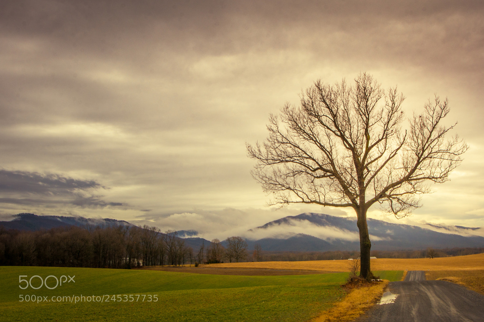 Nikon D7100 sample photo. Virginia country road photography
