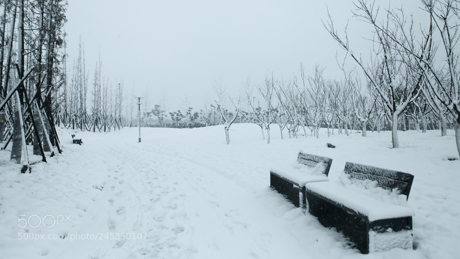 Canon EF 24-70mm F2.8L USM sample photo. 扬州运河三湾雪 photography