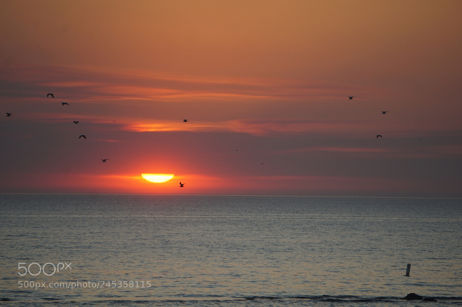 Sony E 55-210mm F4.5-6.3 OSS sample photo. Sunset at santa monica photography