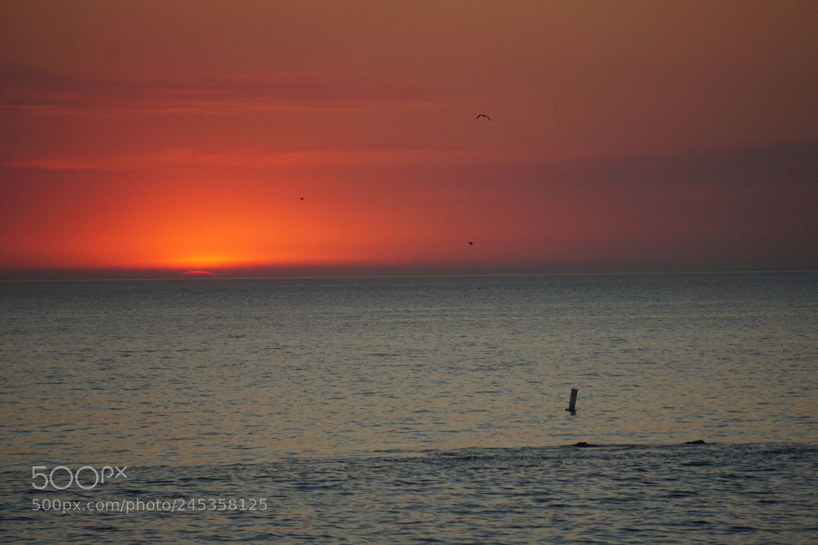 Sony E 55-210mm F4.5-6.3 OSS sample photo. Sunset at santa monica photography