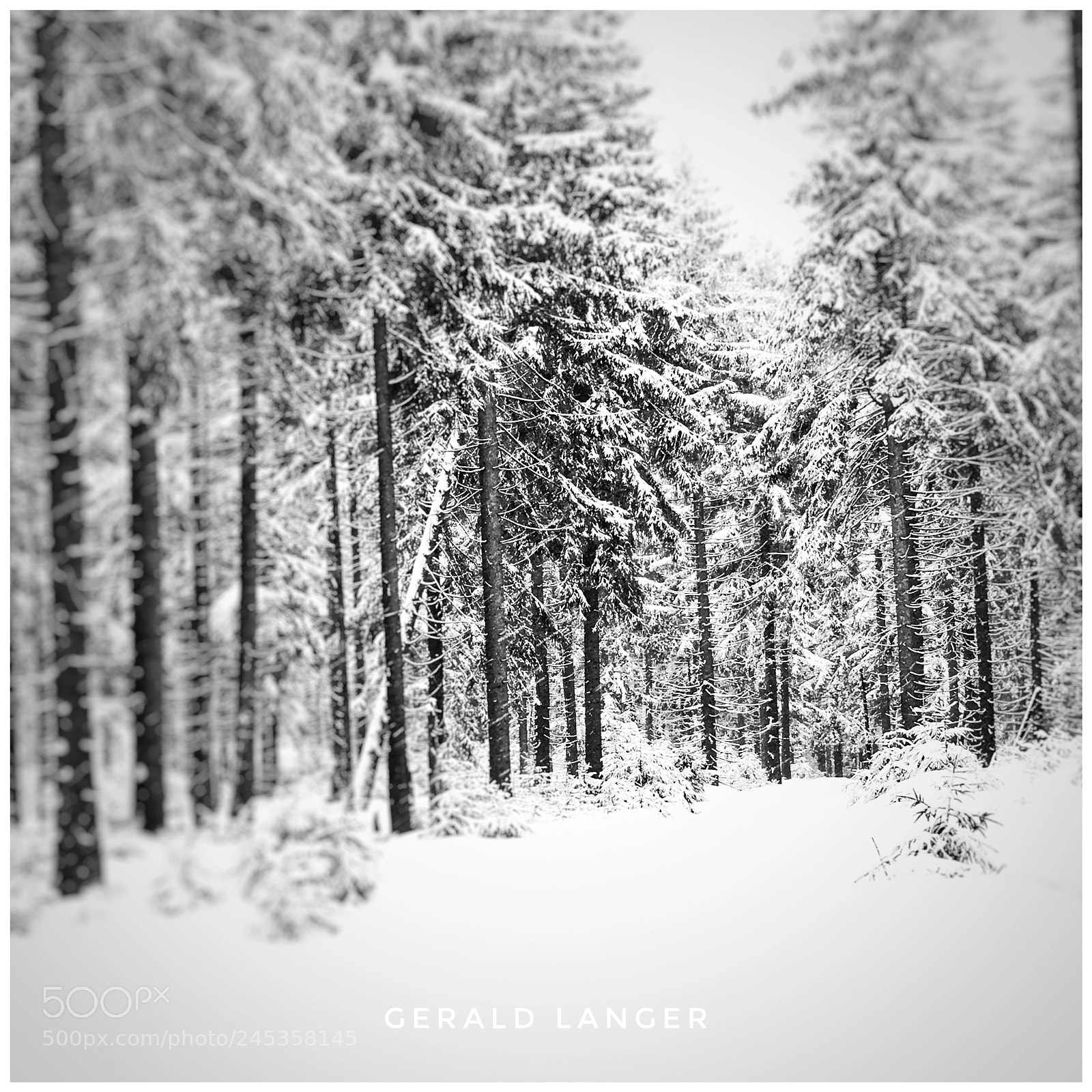 Apple iPhone 6s sample photo. Oberhof photography