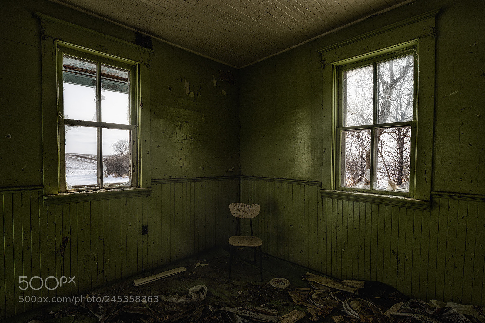 Nikon D810 sample photo. Cornered.... photography