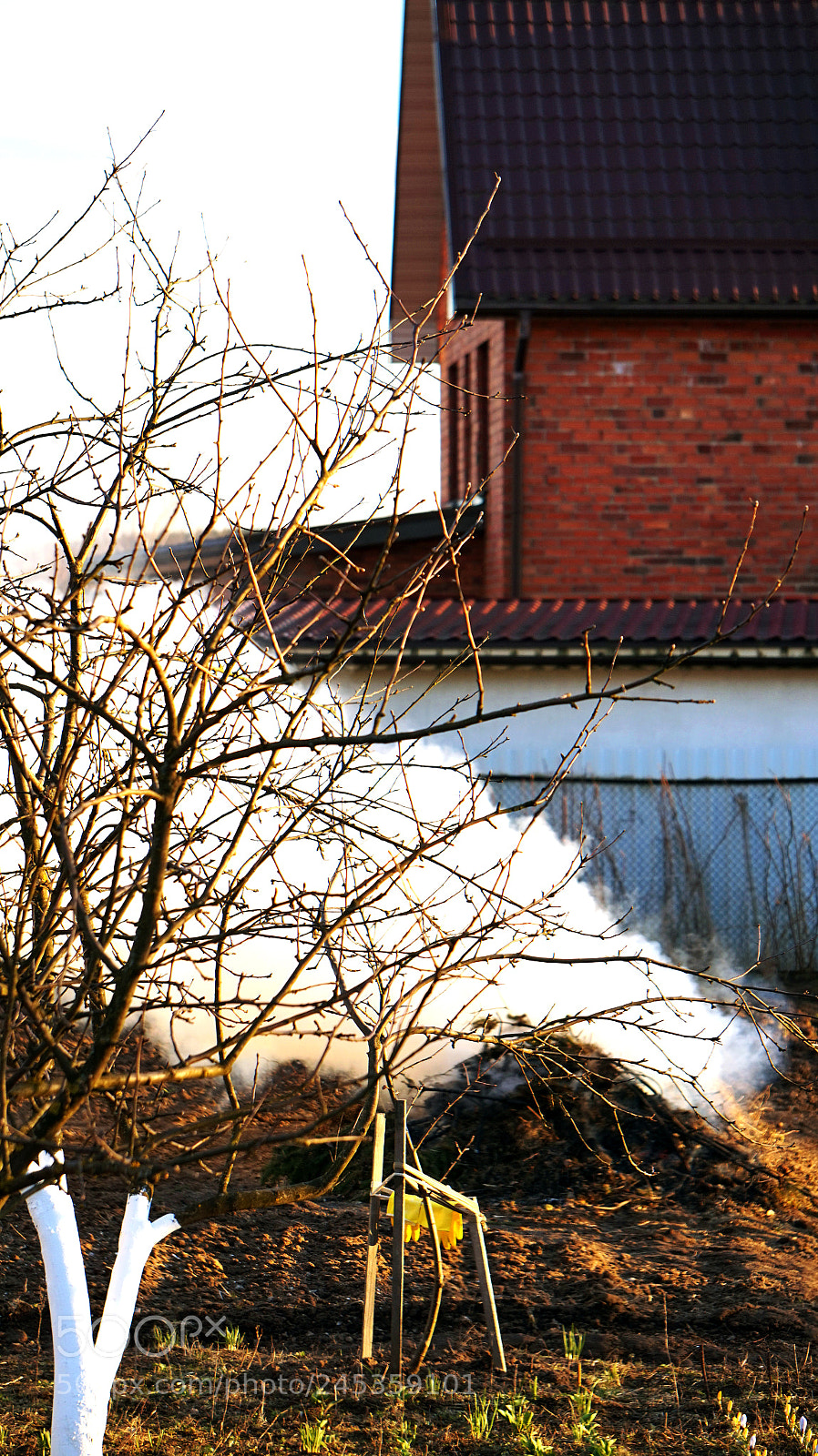 Sony Alpha a5000 (ILCE 5000) sample photo. Outdoors in the country photography