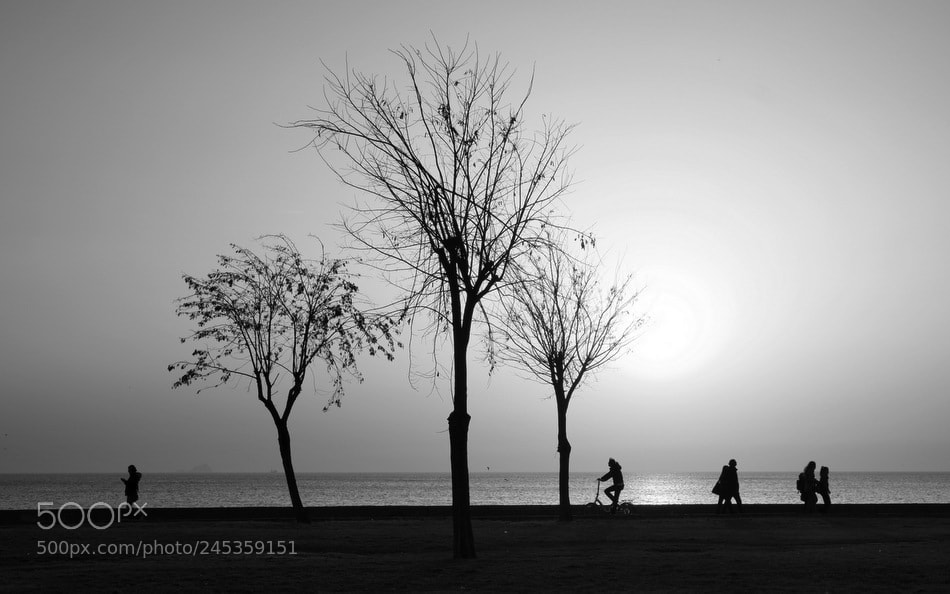 Samsung NX1 sample photo. ... photography
