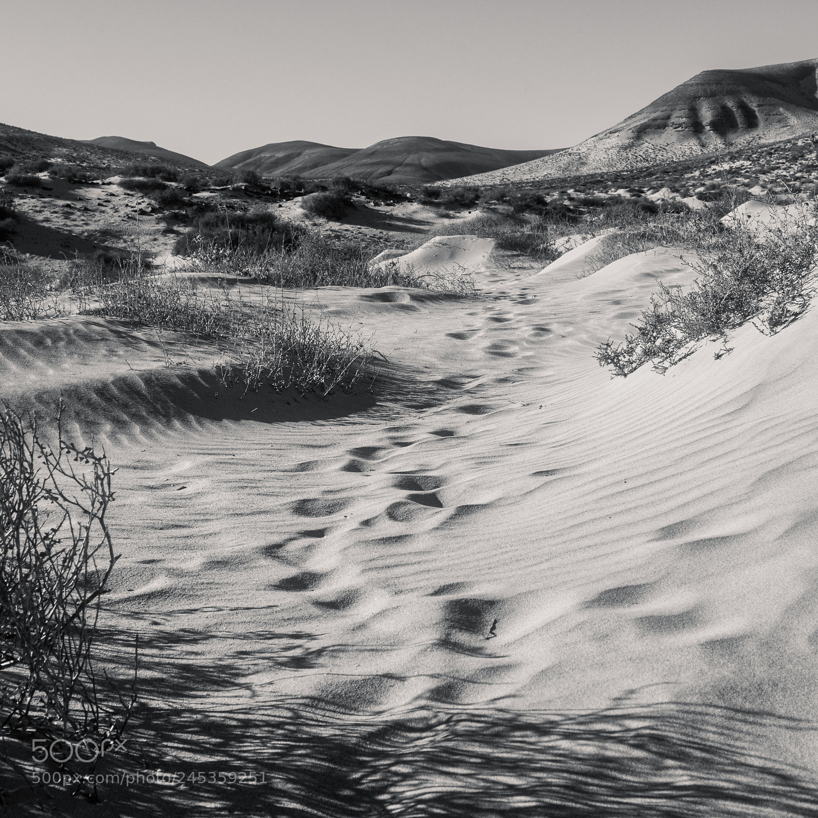 Olympus OM-D E-M5 sample photo. Fuerteventura - path to ... photography