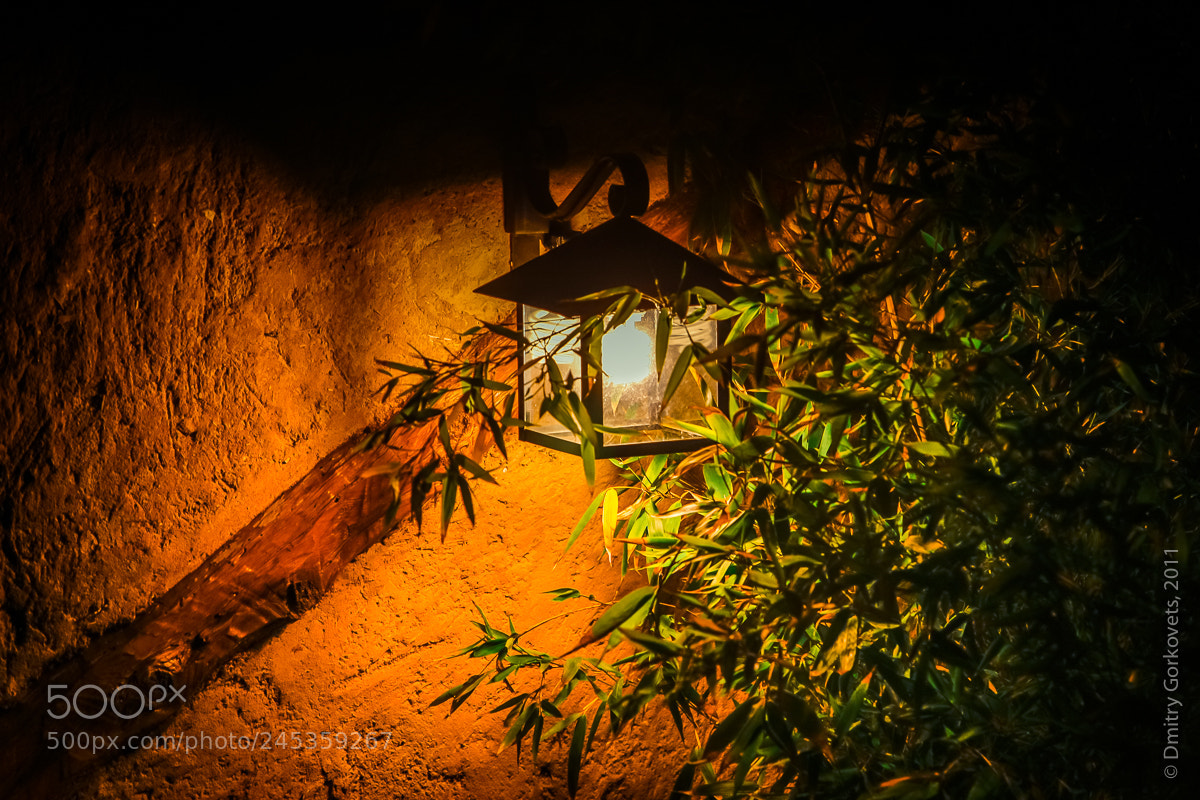 Canon EOS-1Ds Mark III sample photo. The lamp ii. spain 2011. photography