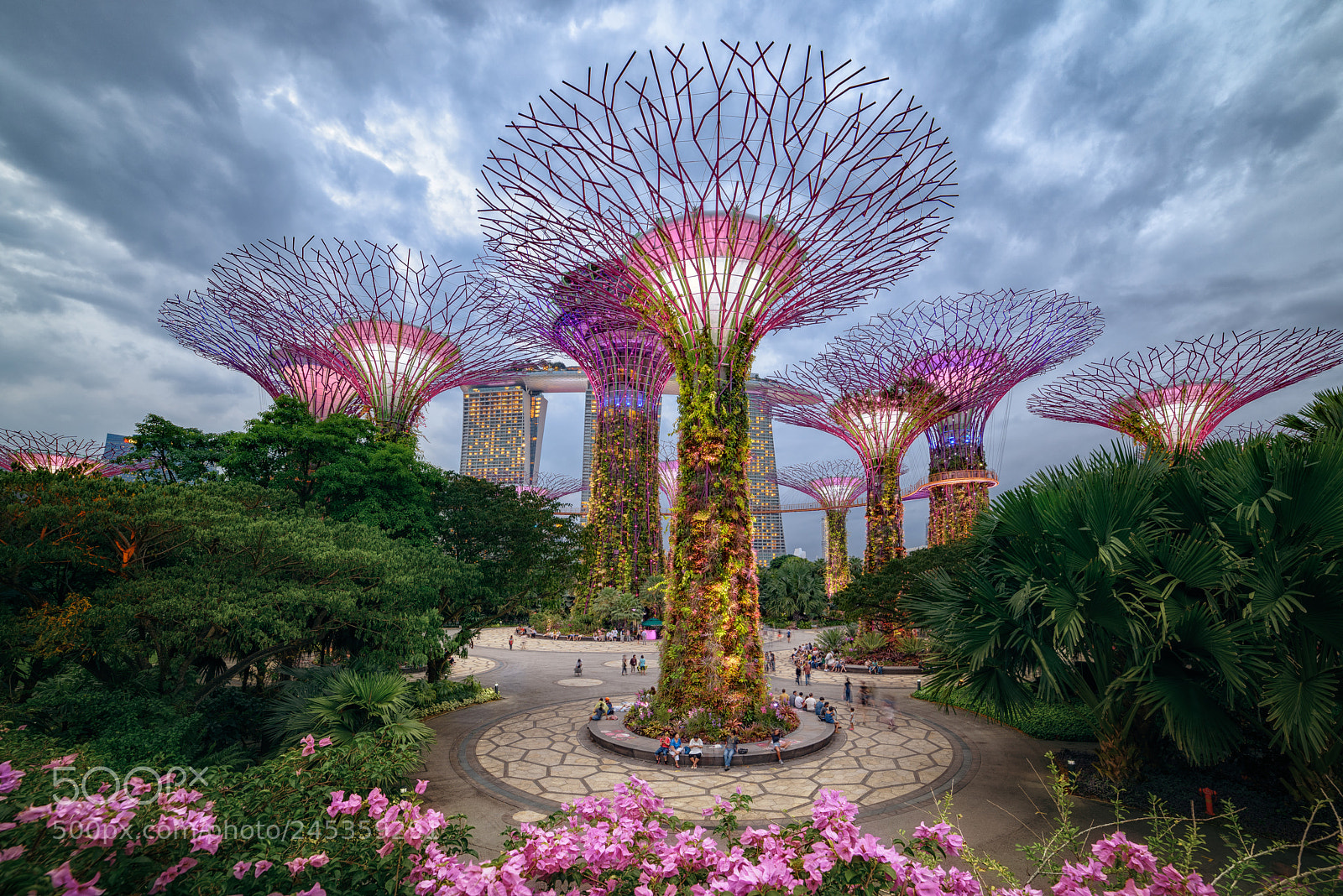 Nikon D810 sample photo. Supertree grove photography