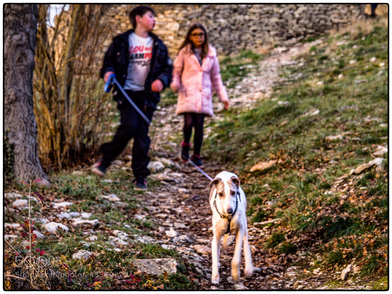 Olympus OM-D E-M10 II sample photo. Walking my friends photography