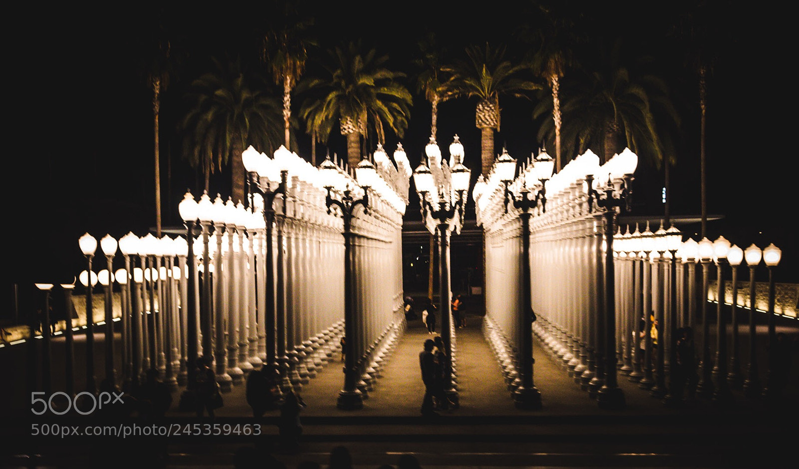 Canon EOS 6D Mark II sample photo. City of lights photography
