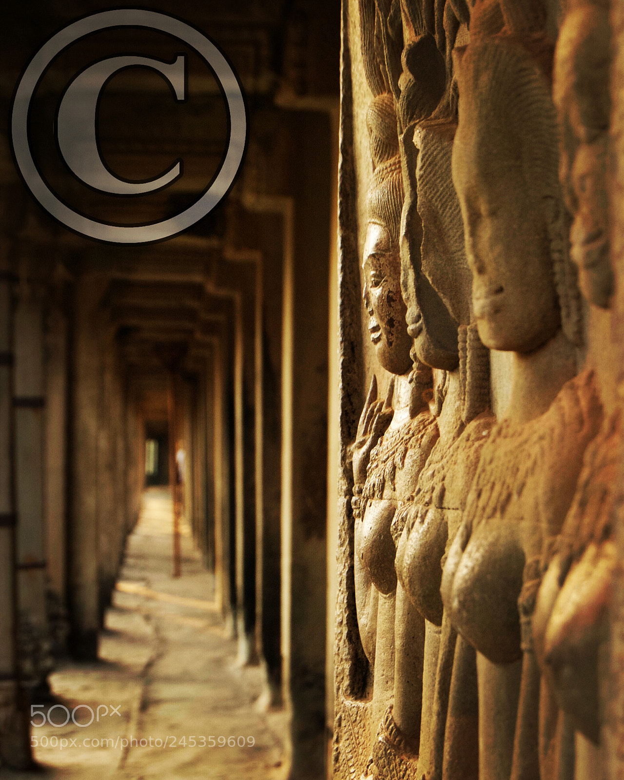 Nikon D80 sample photo. Siem reap, cambodia photography