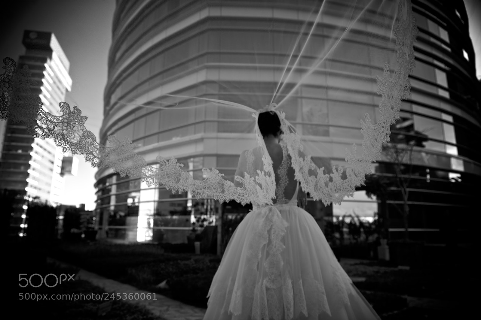 Nikon D5 sample photo. Manuel valderrama photography