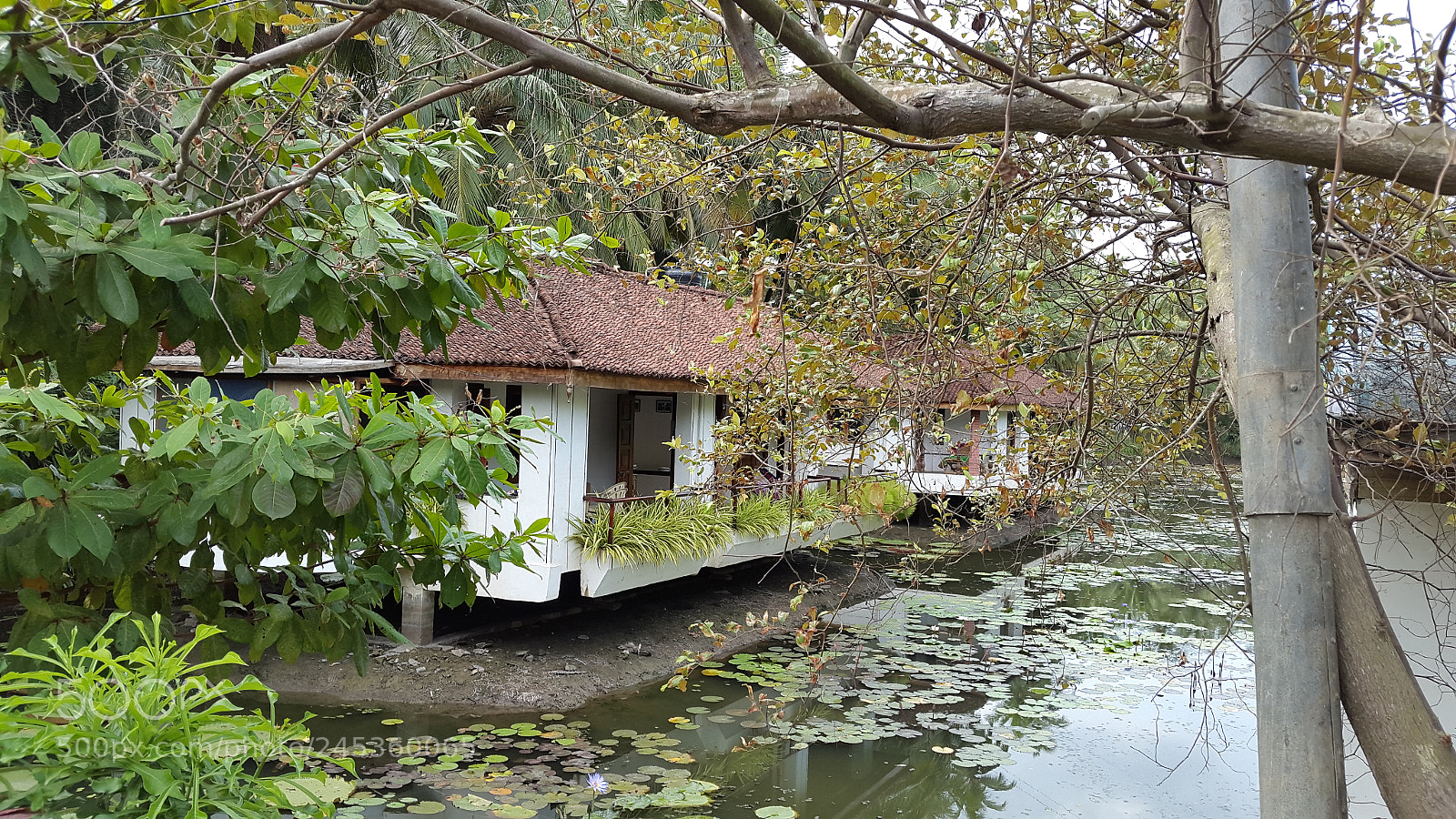 Samsung Galaxy S5 sample photo. Untitled photography