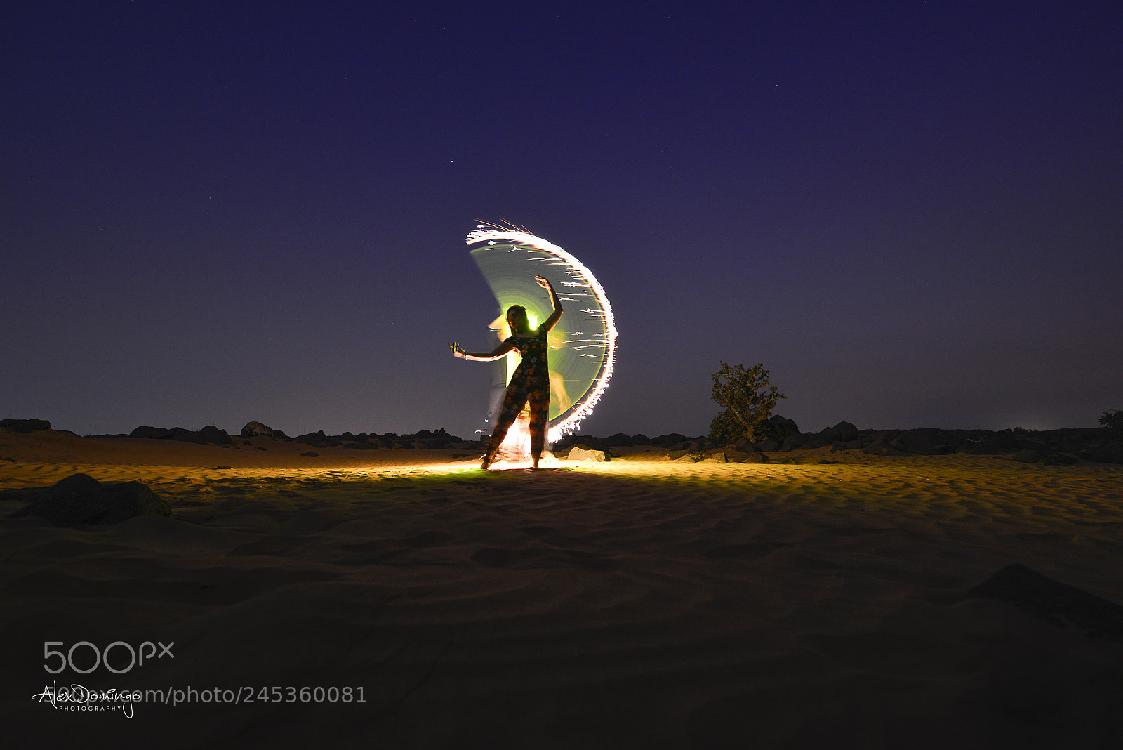 Nikon D600 sample photo. Half sparks photography