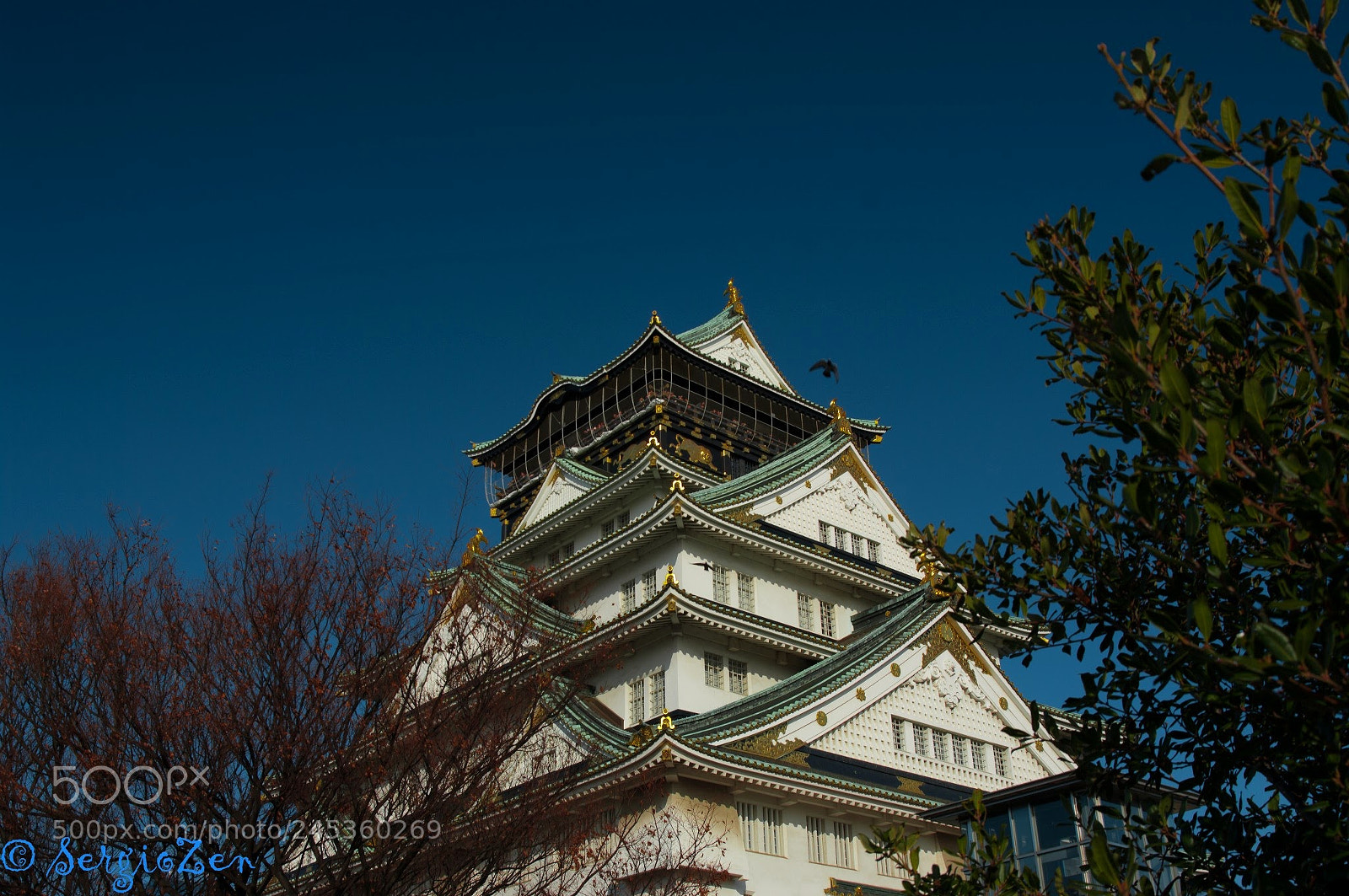 Pentax K20D sample photo. Osaka castle photography