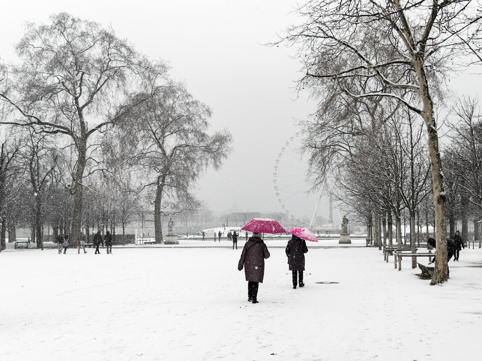 Nikon D3200 sample photo. Walking to the concorde photography