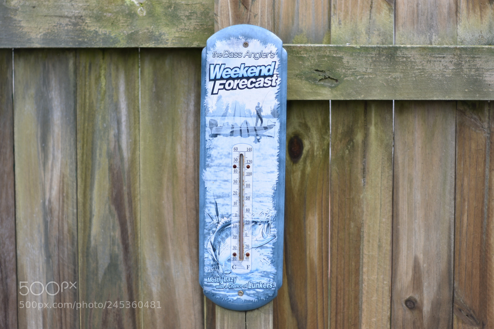 Nikon D3400 sample photo. It’s cold outside photography