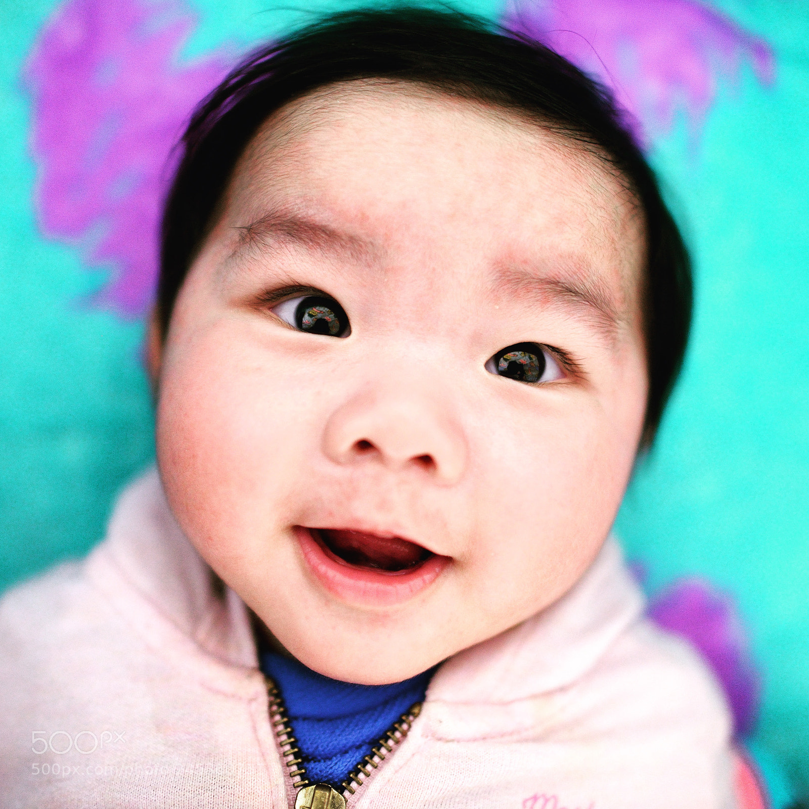 Nikon D800 sample photo. Untitled photography