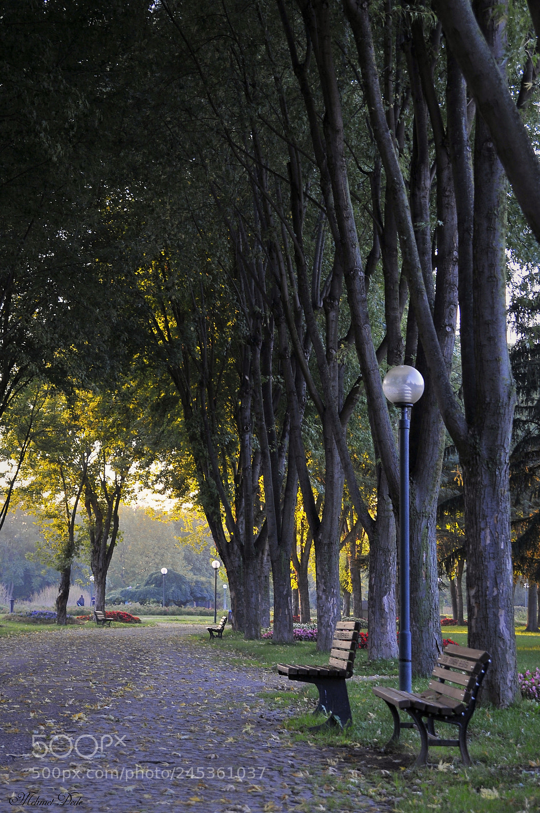 Nikon D300S sample photo. Serenty photography