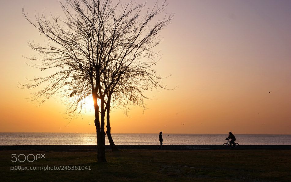 Samsung NX1 sample photo. ... photography