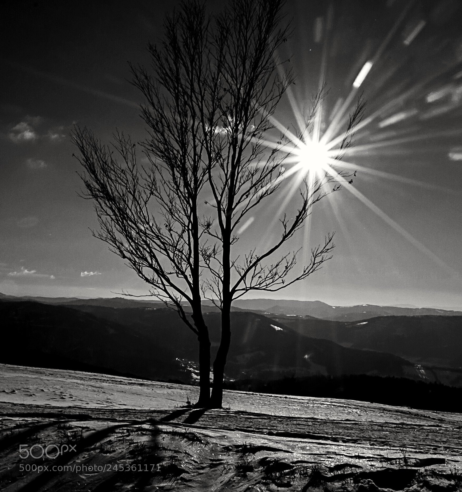 Nikon D3100 sample photo. Untitled photography