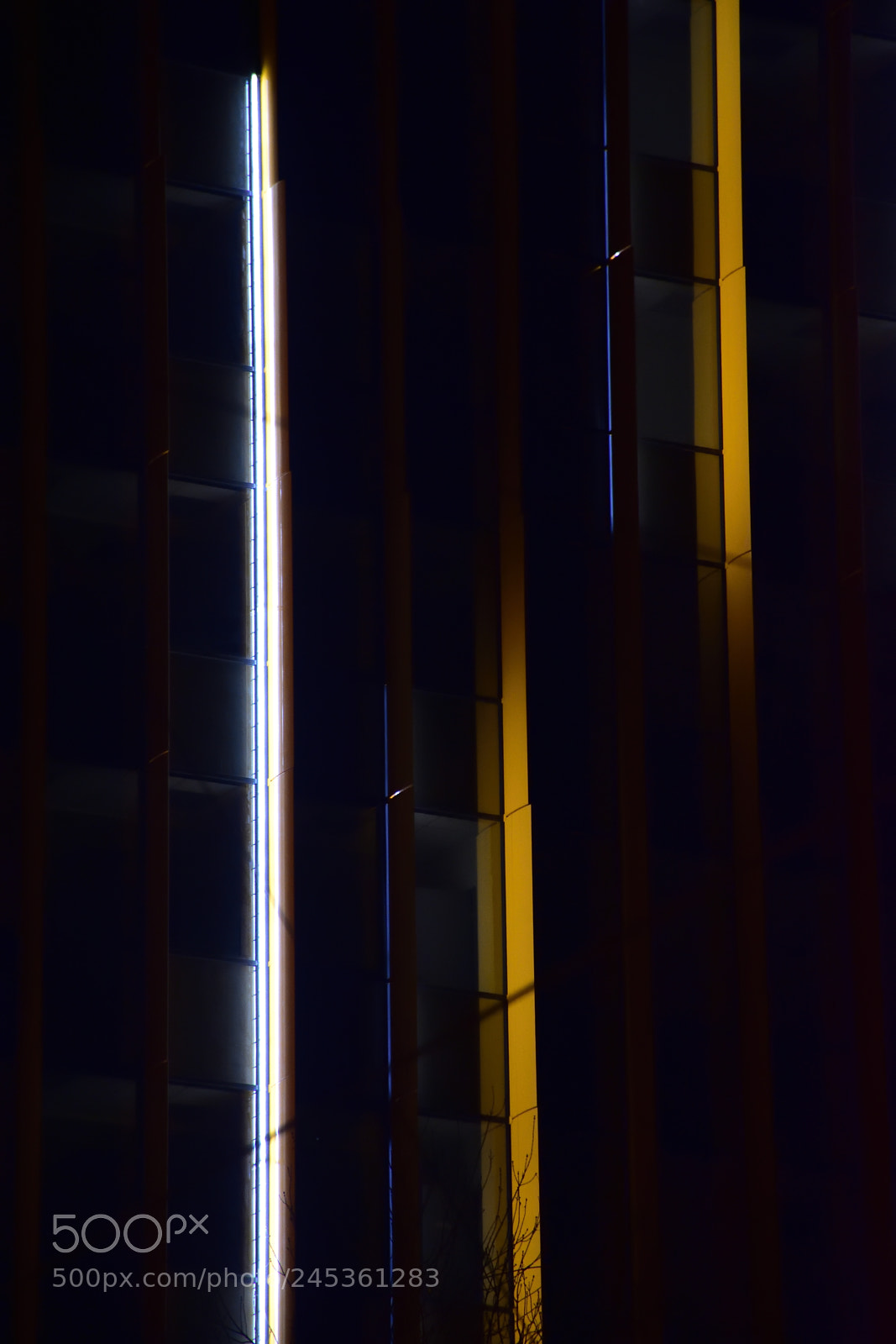 Nikon D7200 sample photo. Rendezvous/chisticphoto photography