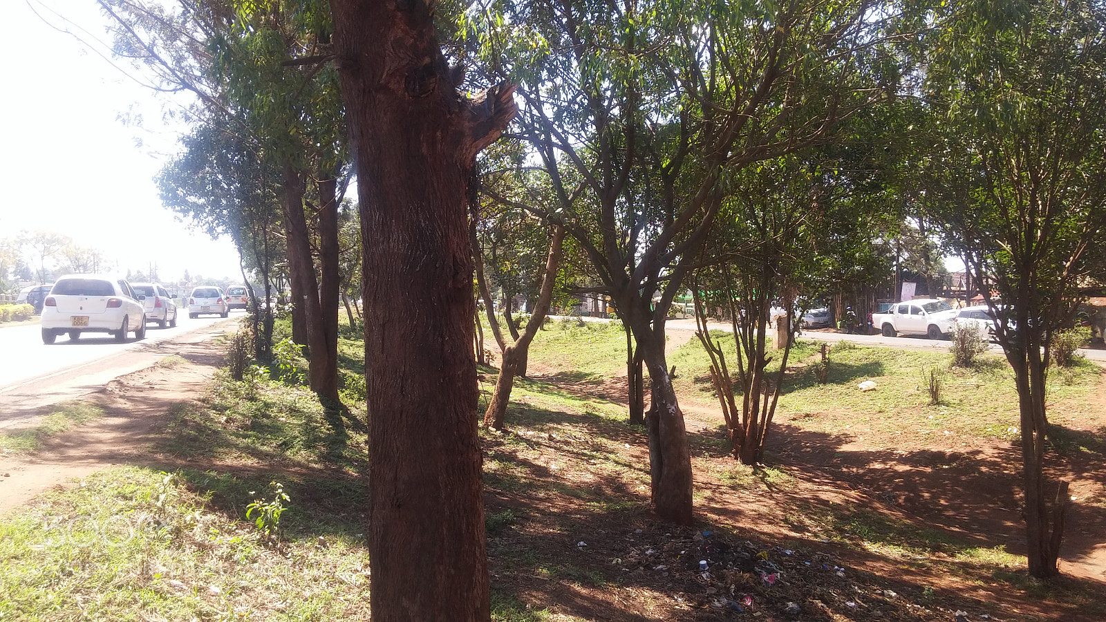 LG G3 sample photo. Untitled photography