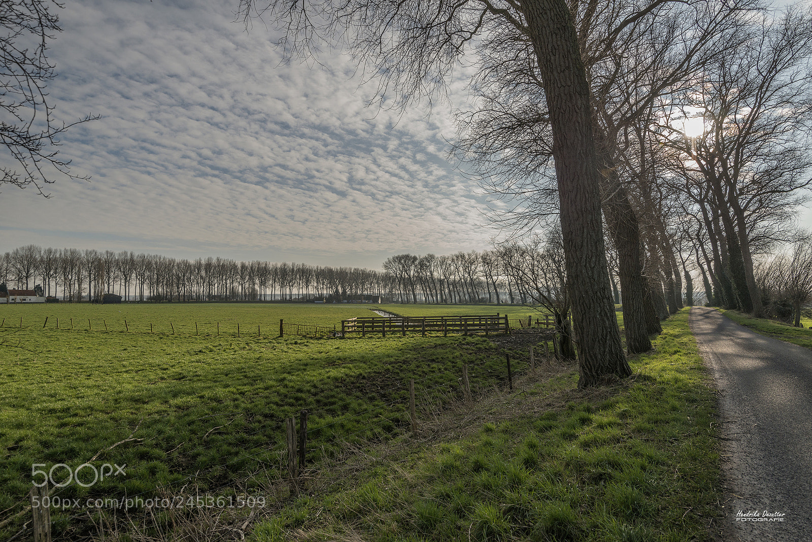 Nikon D800 sample photo. Polder view in oostkerke photography