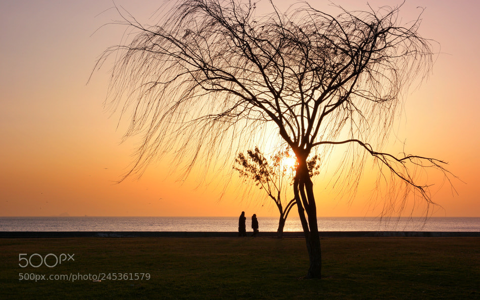 Samsung NX1 sample photo. ... photography