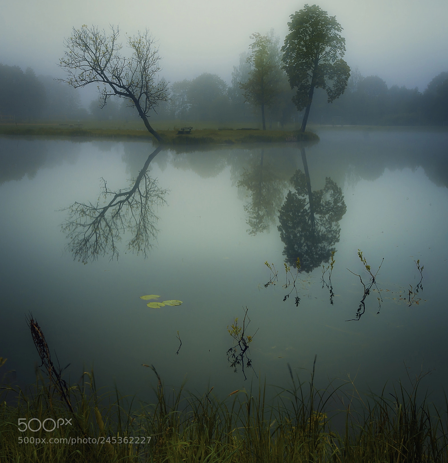 Canon EOS 40D sample photo. Misty lake photography