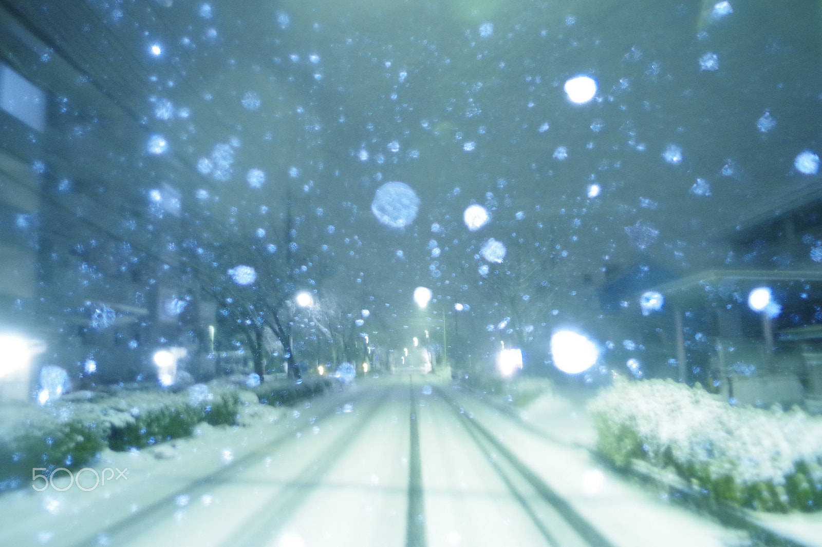 smc PENTAX-DA L 18-55mm F3.5-5.6 sample photo. Blizzard photography