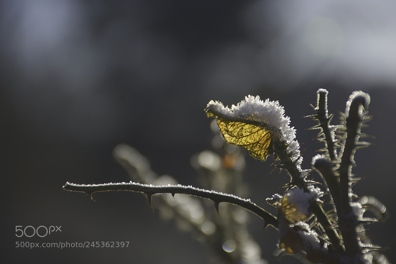 Nikon D7200 sample photo. Warm me up. photography