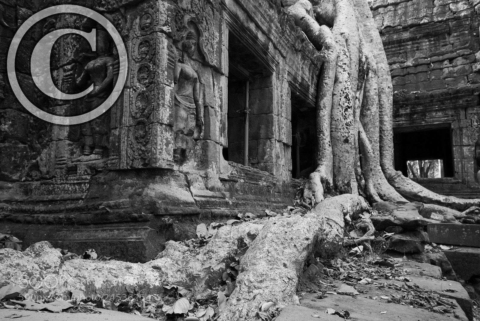 Nikon D80 sample photo. Ta prohm temple, siem photography