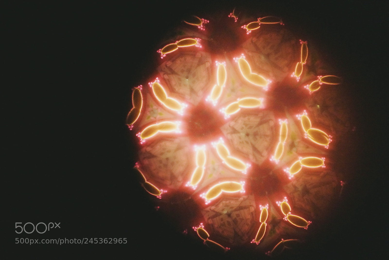 Sony Alpha NEX-3N sample photo. Flower in a phantoscope photography