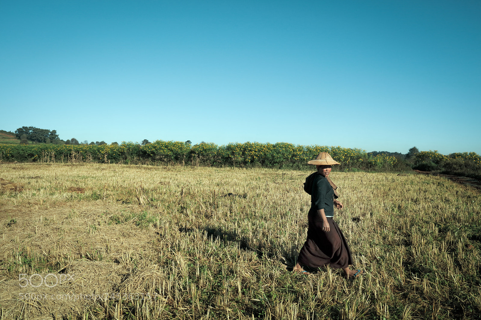 Canon EOS 5DS R sample photo. Pindaya, myanmar, 20 november photography