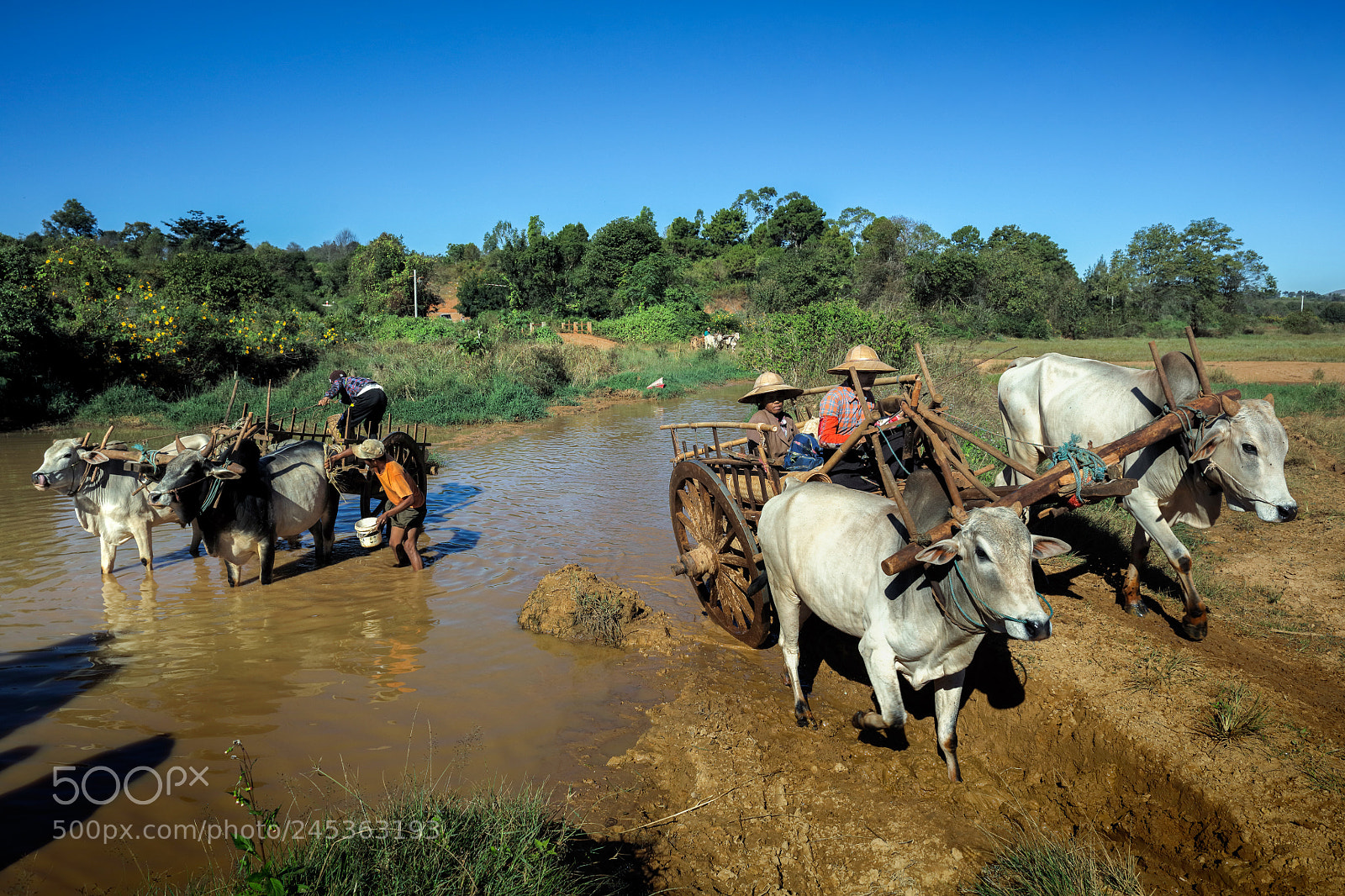 Canon EOS 5DS R sample photo. Pindaya, myanmar, 20 november photography