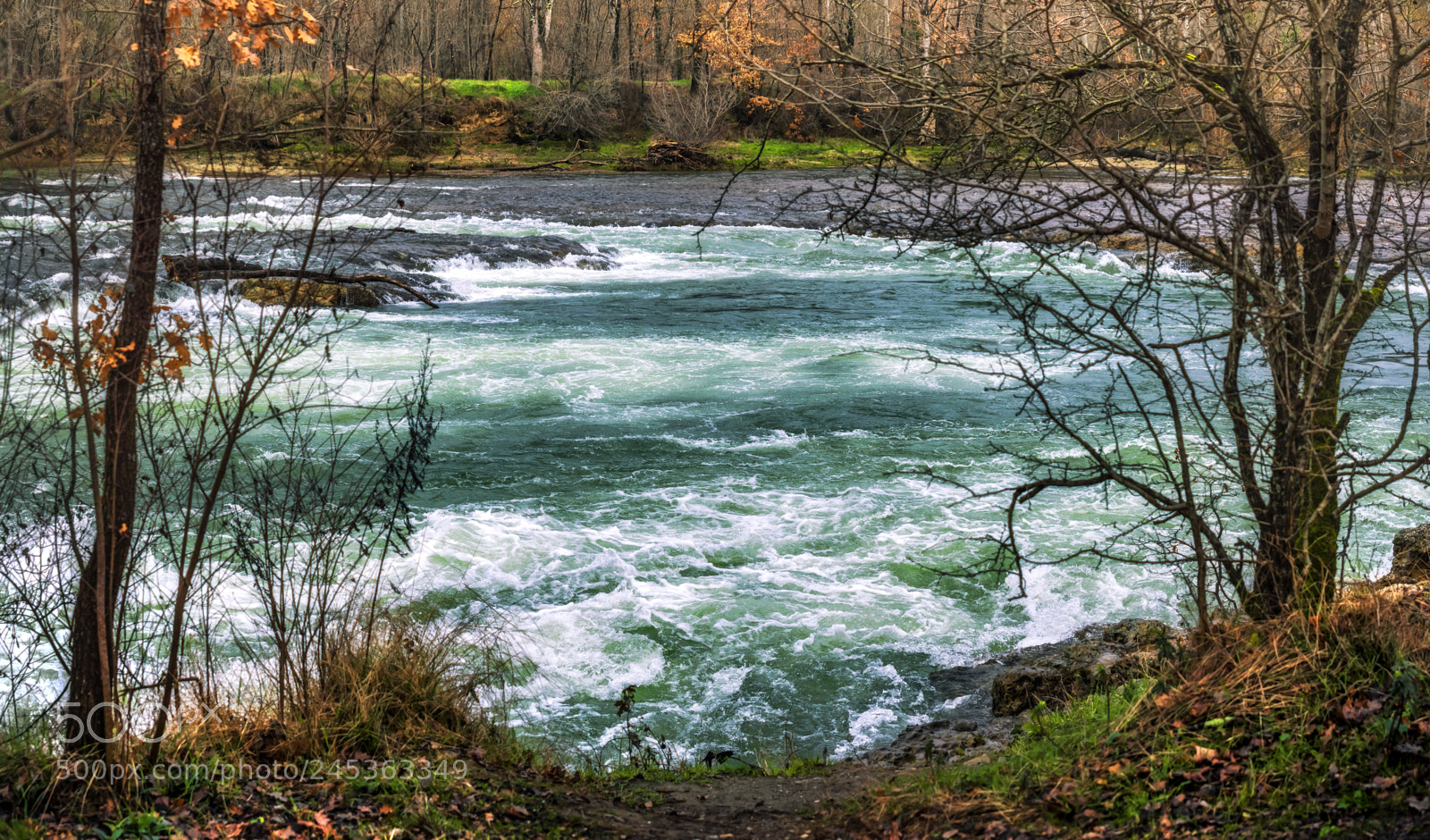 Nikon D7200 sample photo. Living water. photography