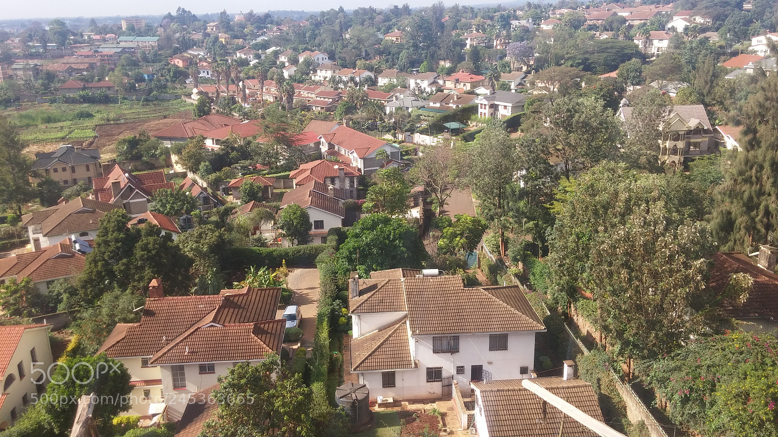 LG G3 sample photo. Mountain view estate photography