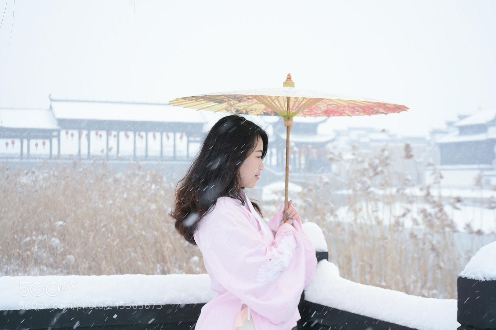 Nikon D7100 sample photo. Untitled photography