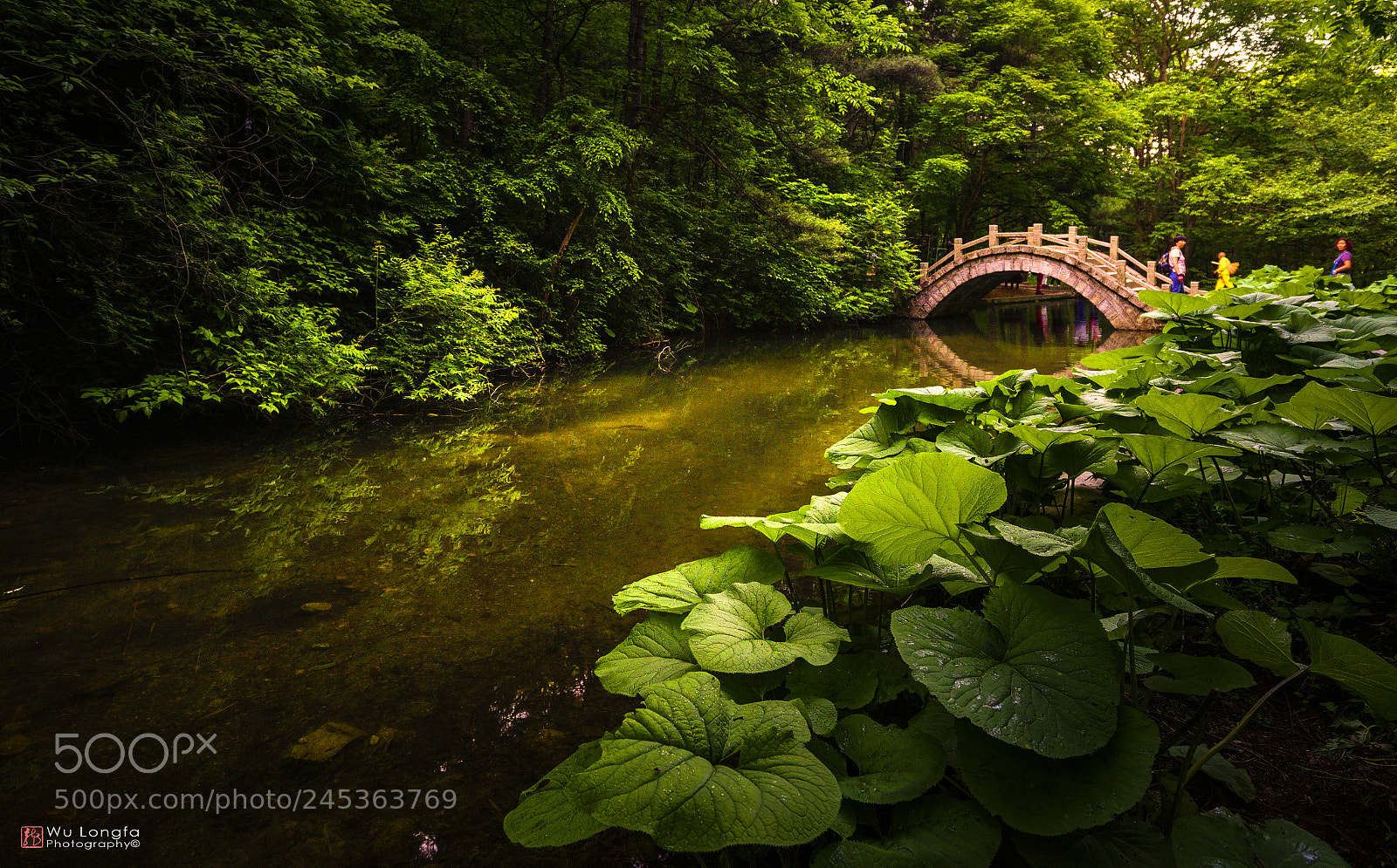 Sony a7 II sample photo. Creek photography