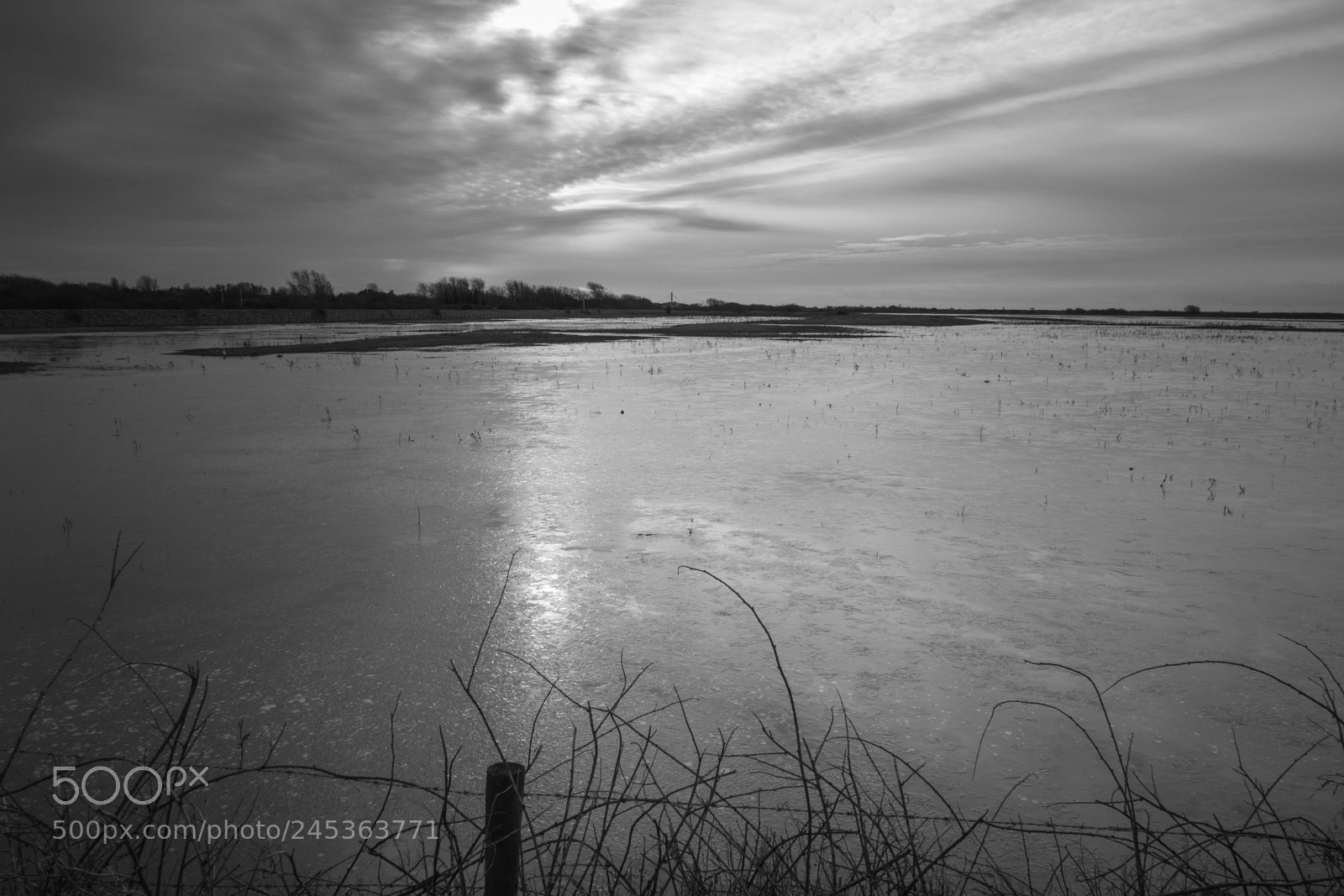 Sony Cyber-shot DSC-RX100 sample photo. Icy marshland photography