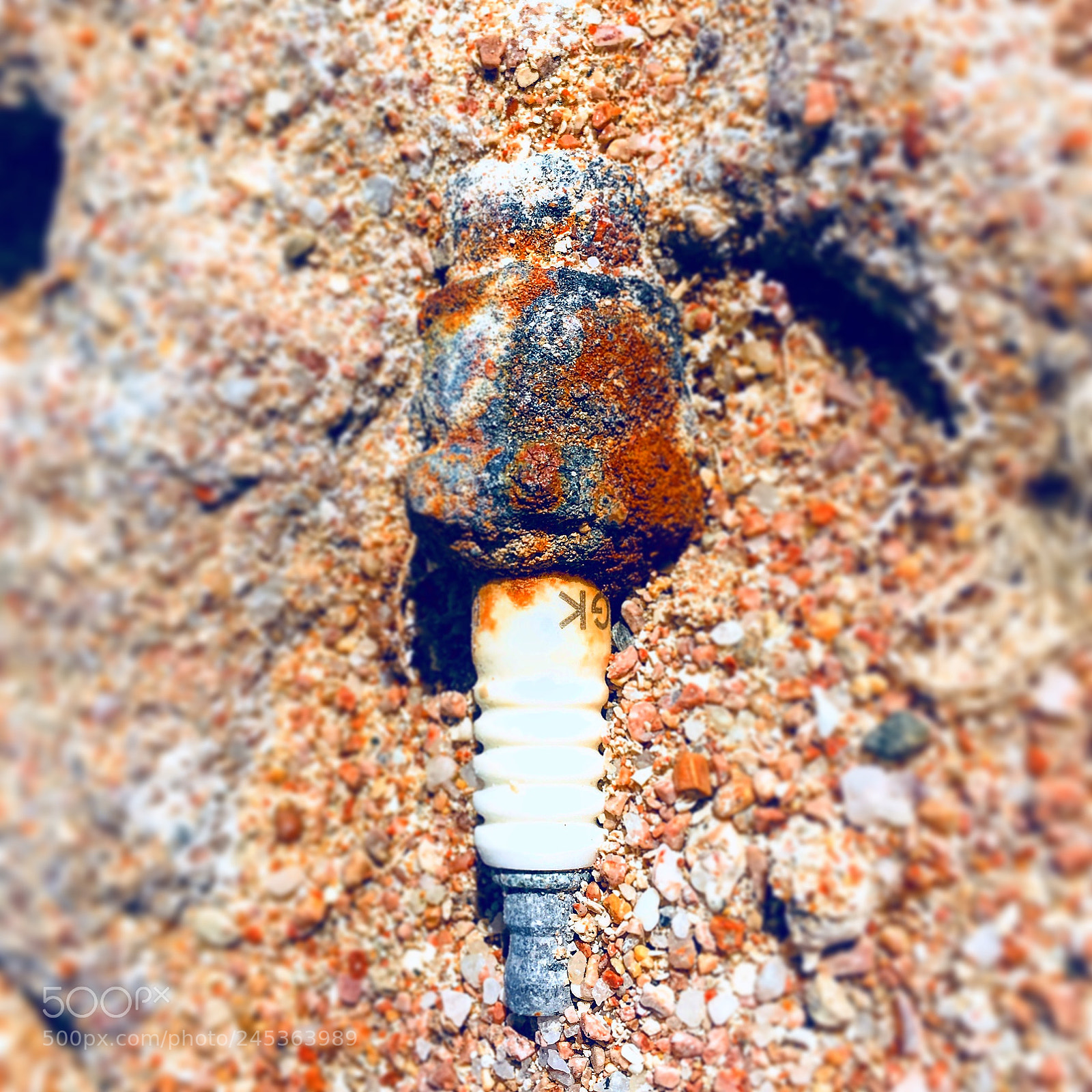 Apple iPhone 6s Plus sample photo. Untitled photography