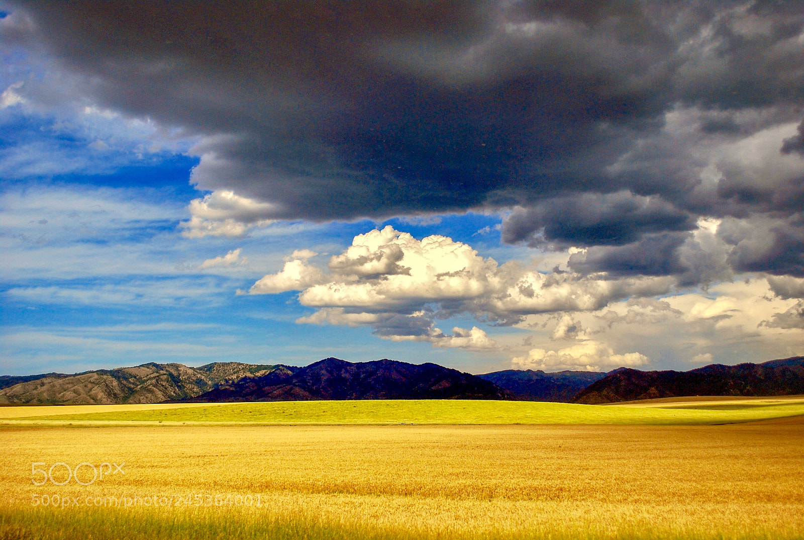 Nikon D60 sample photo. Storm clouds gathering over photography
