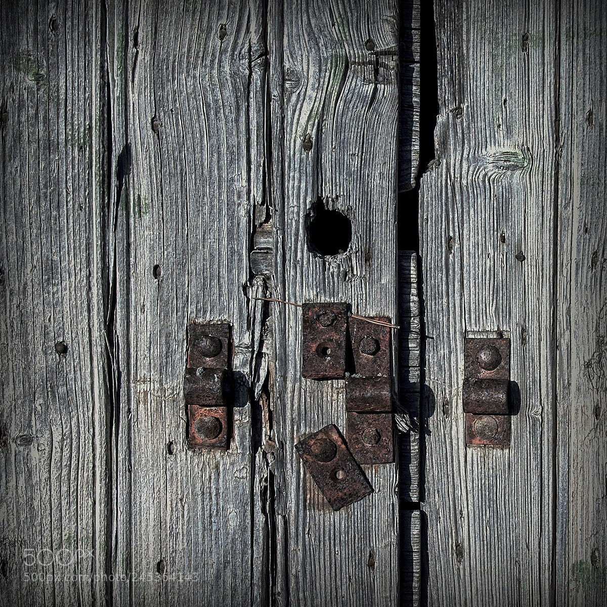 Canon EOS 50D sample photo. Rughe photography
