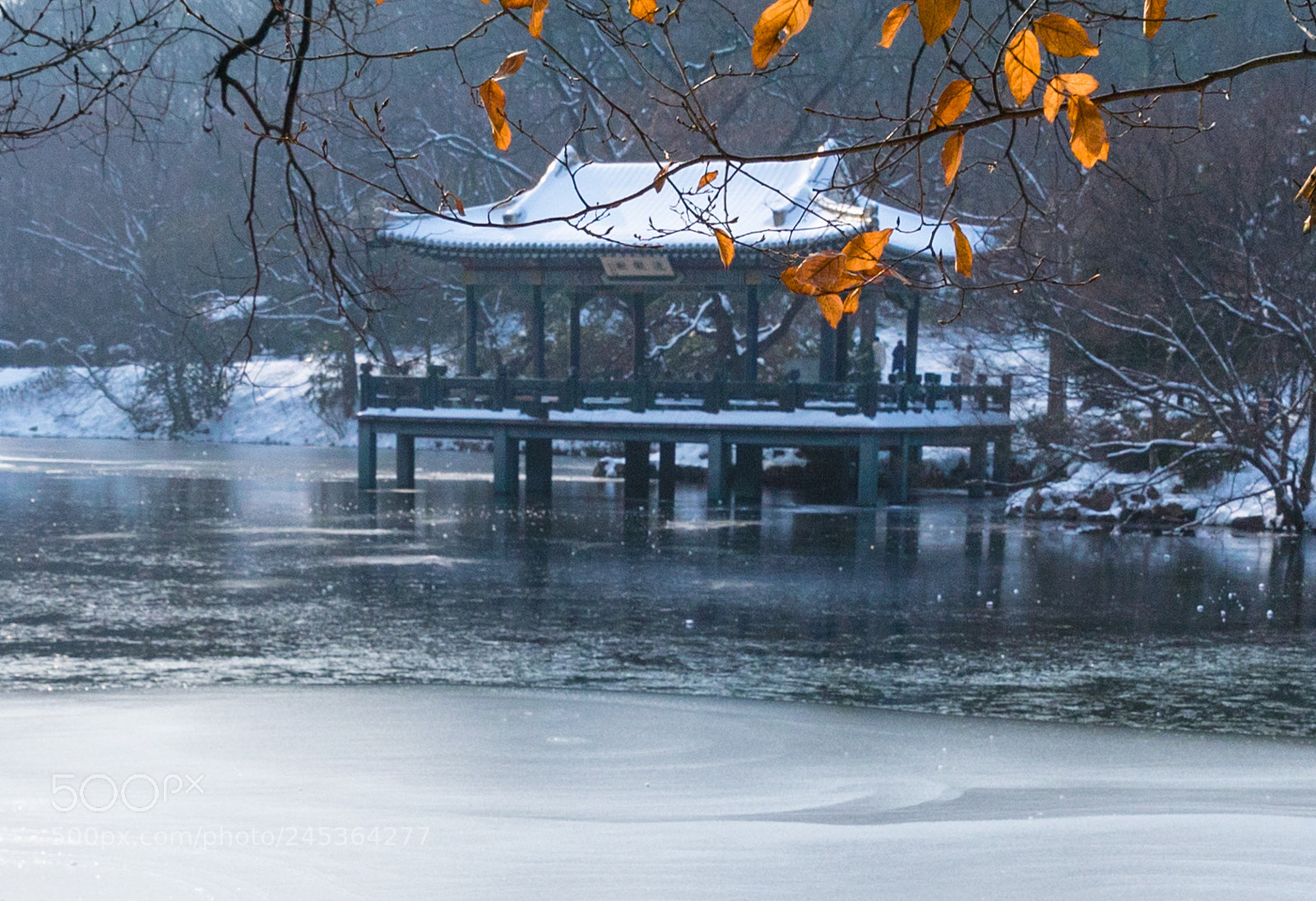 Canon EOS-1D X Mark II sample photo. 水榭 photography