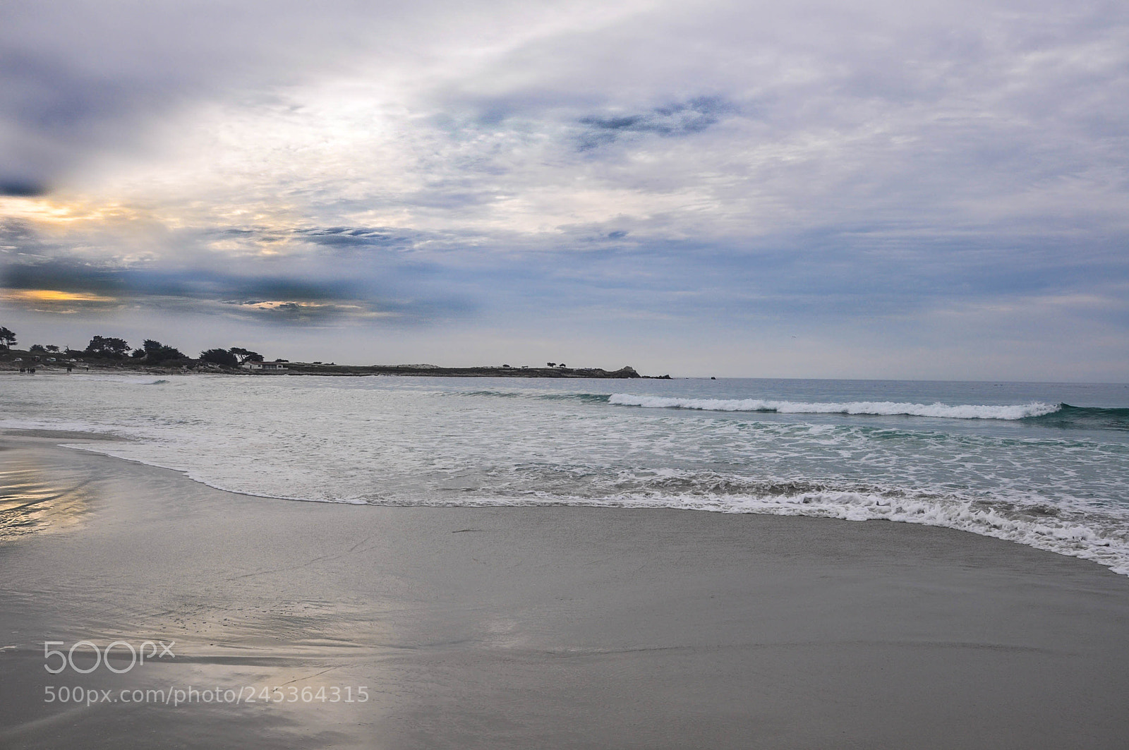 Nikon D90 sample photo. 17 mile drive, san francisco photography
