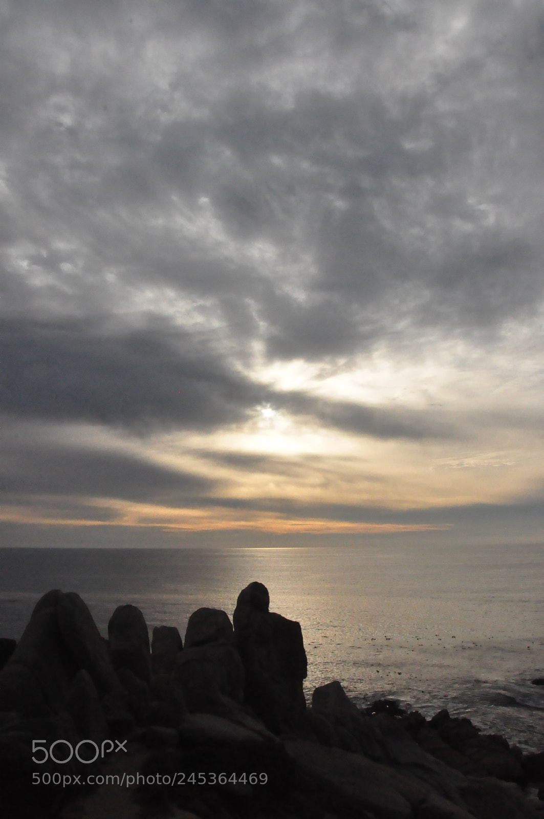 Nikon D90 sample photo. 17 mile drive, san francisco photography
