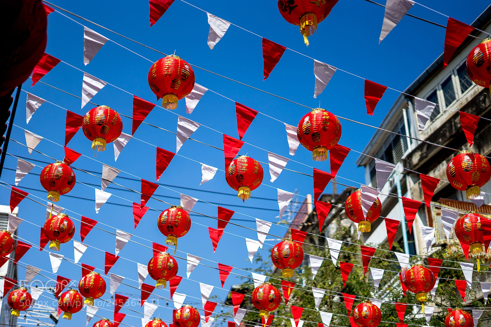 Sony a7 II sample photo. Chinese lantern photography